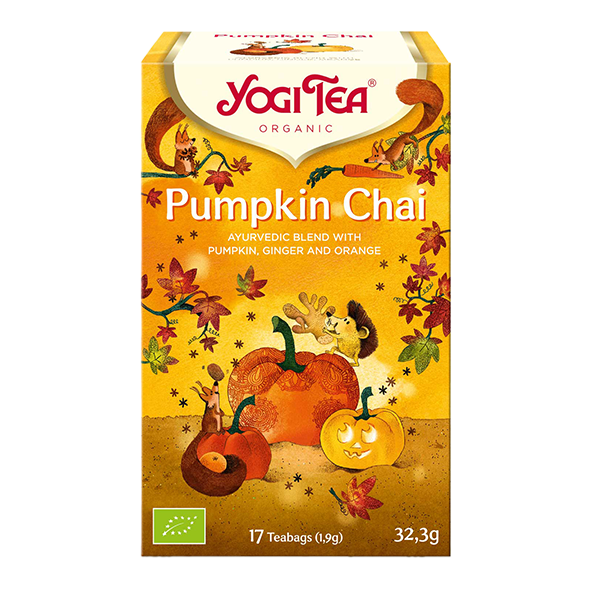 YOGI TEA Bio Pumpkin Chai